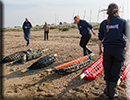 Seal Release - 11th April 2016