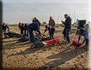 Seal Release - 11th April 2016