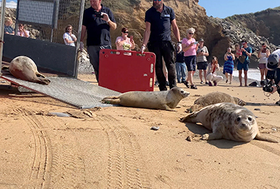 Seal Release - 15th September 2021