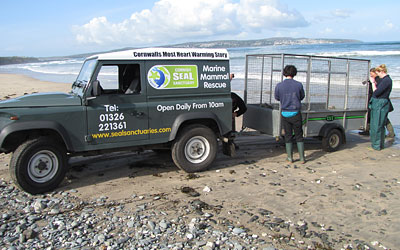 Seal Release on 16th May 2013