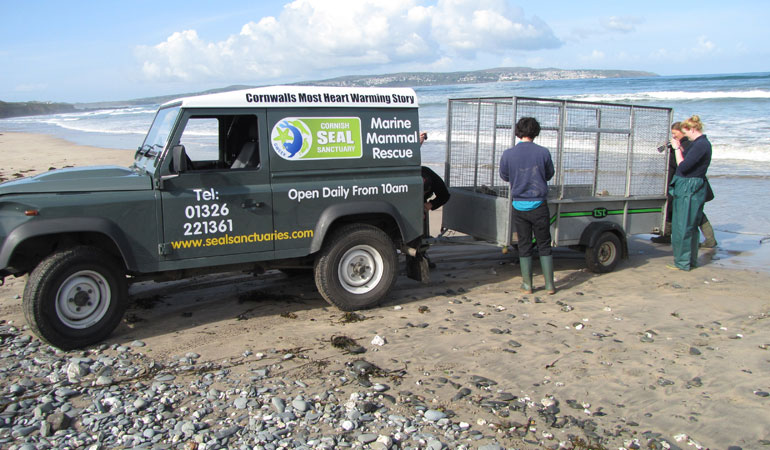 Seal Release - 16th May 2013