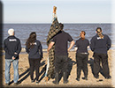 Seal Release - 19th September 2015
