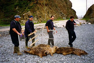 Seal release - Malcolm, Phil, James and James