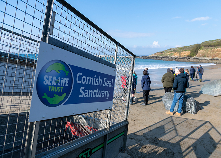 Seal Release - 21st April 2023 - Photo Credit - Chris Webber - Freelance Photos - BDMLR Medic
