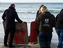 Seal Release - 25th November 2016