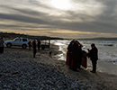 Seal Release - 25th November 2016