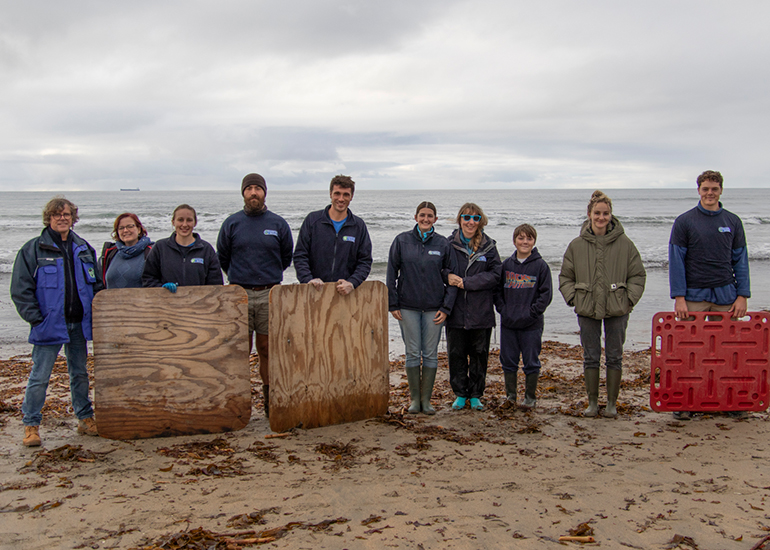 Seal Release - 29th October 2024