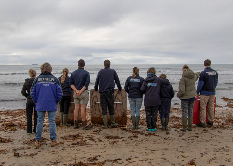 Seal Release - 29th October 2024