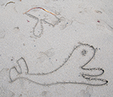 Seal Release - 29th October 2024