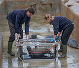 Seal Release - 29th October 2024