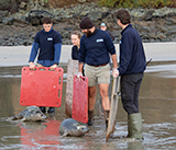Seal Release - 29th October 2024