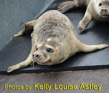 Photo taken by Kelly Louisa Astley