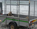 Seal Release - 30th May 2013