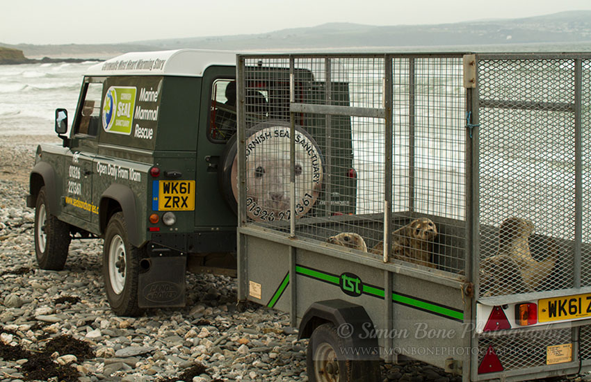 Seal Release - 30th May 2013