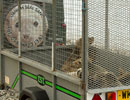 Seal Release - 30th May 2013