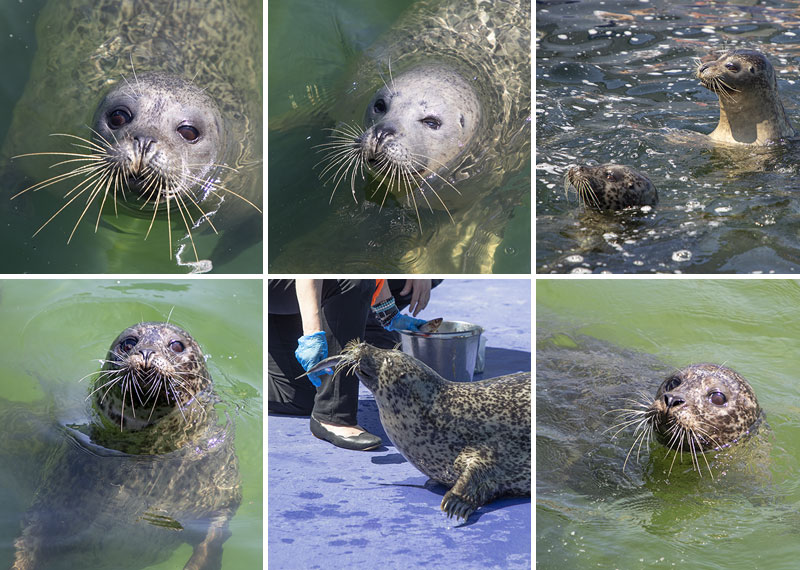 Amber, Sally, Lora, Pippa and Macey