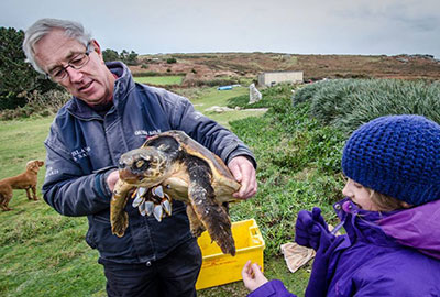 Sea Turtle in Isles of Scilly