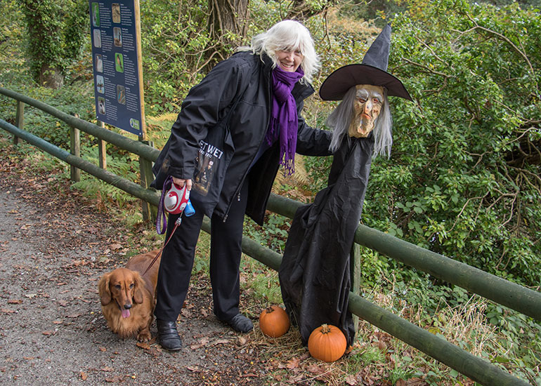 Spooky Halloween Week - 24th to 31st October 2015