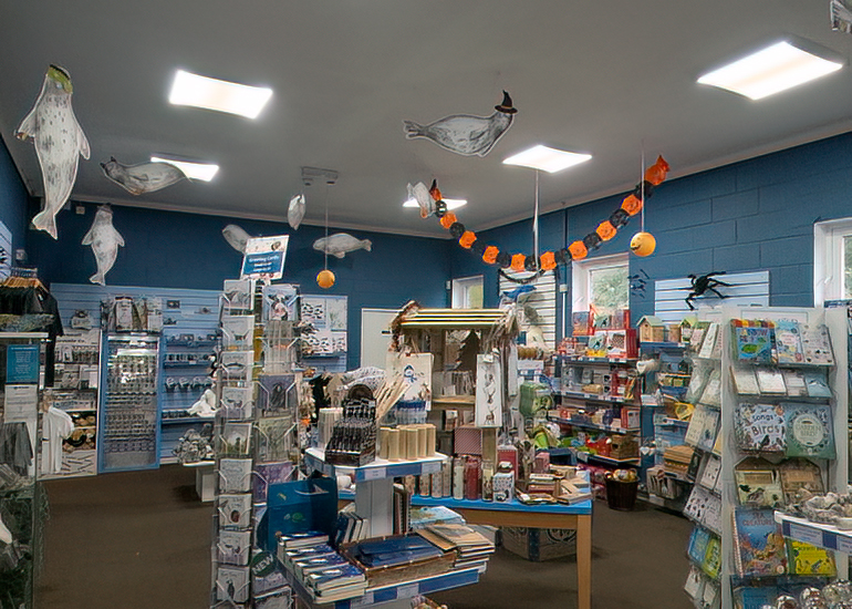 Cornish Seal Sanctuary