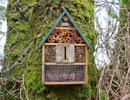 Bugs Hotel