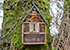 Bugs Hotel