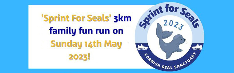 SPRINT FOR SEALS IS BACK FOR 2023