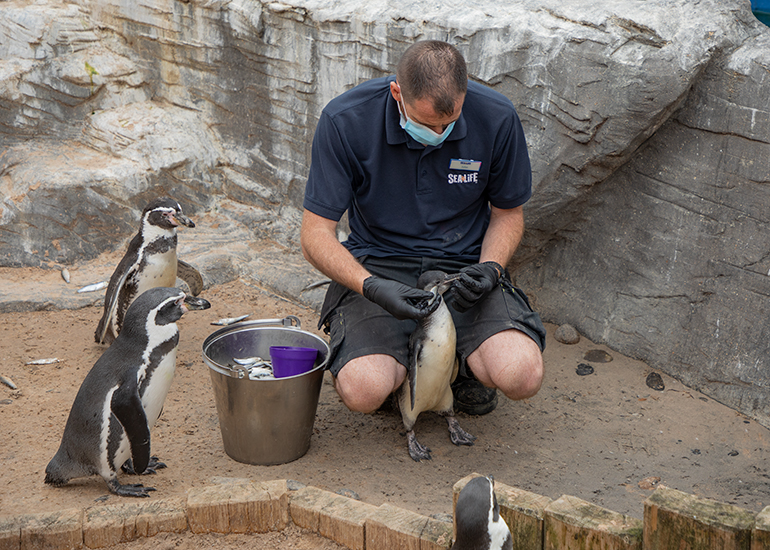 Squirt - 30th August 2020