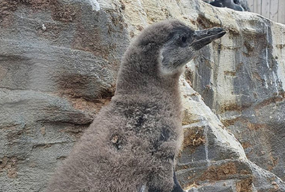 Squirt - 6th August 2020