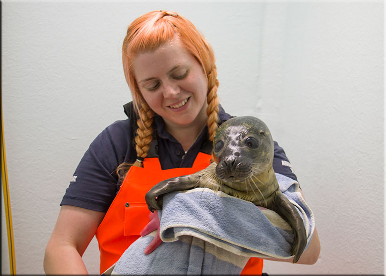 Hunstanton Sea Life Sanctuary