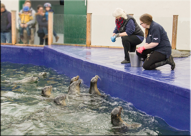 Hunstanton Sea Life Sanctuary