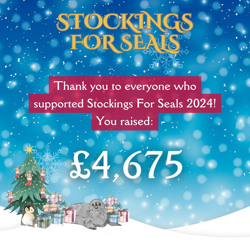Stockings for Seals - 2023