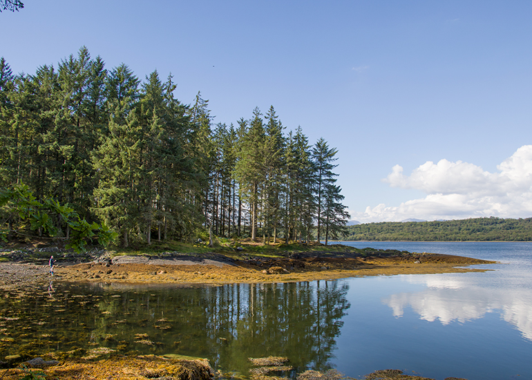 Scottish SEA LIFE Sanctuary