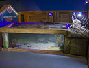 Scottish Sea Life Sanctuary