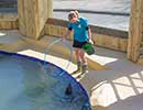 Sunny, Sea Lion - photo taken on 12th April 2014