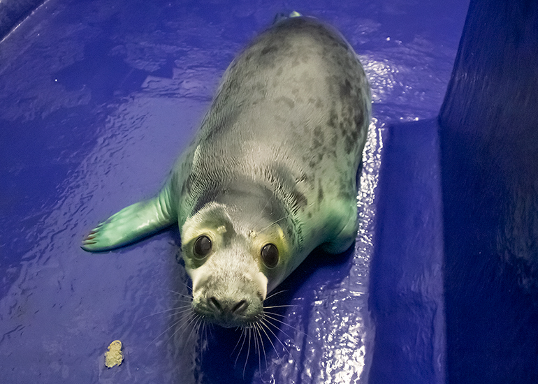Taffy - Photo taken on 30th October 2020