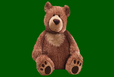 Tag a Teddy