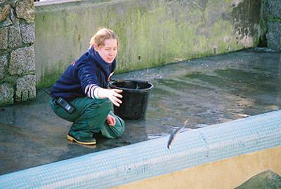 Curator Tamara Cooper celebrates 16 years of seal rescue