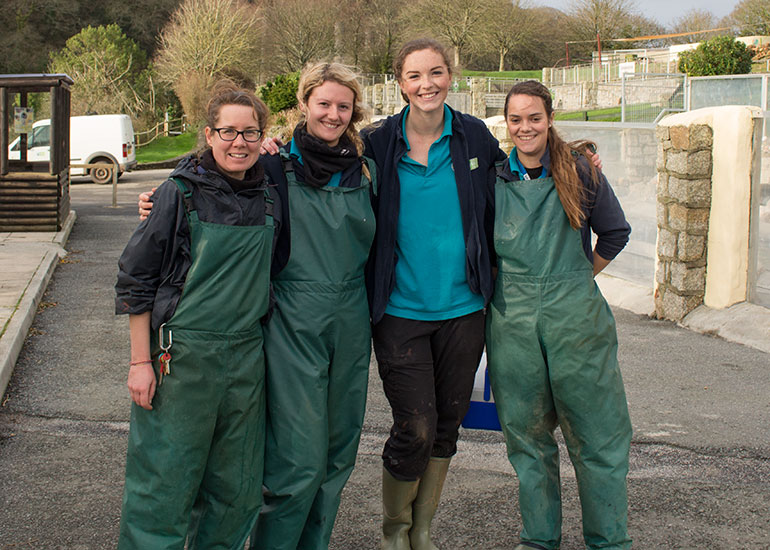 The Animal Care Team