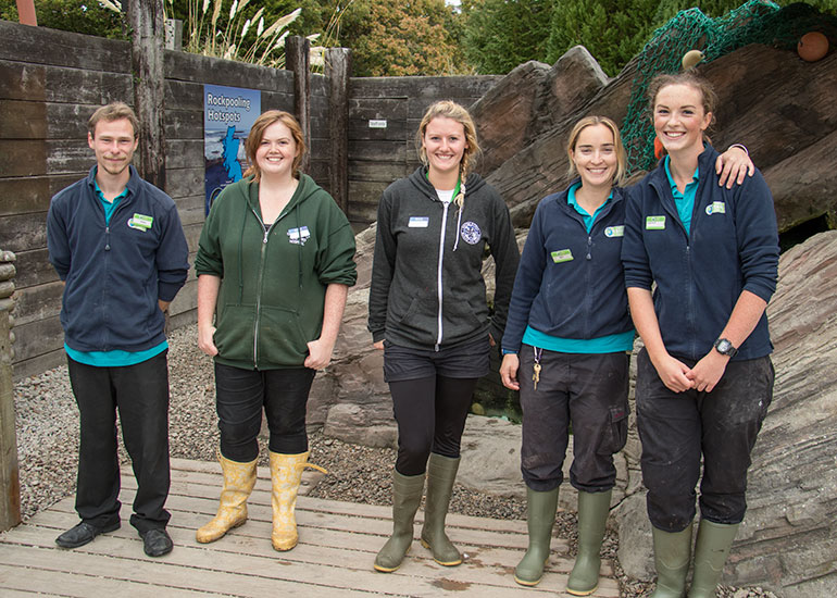 Animal Care Team