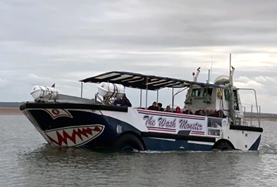 Joe and Tony - released back into the wild