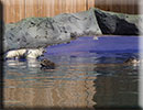 Hunstanton SEA LIFE Sanctuary - 7th June 2015