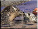 Hunstanton SEA LIFE Sanctuary - 7th June 2015
