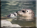 Hunstanton SEA LIFE Sanctuary - 7th June 2015