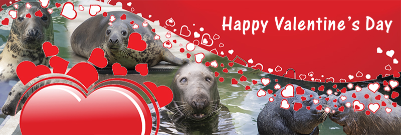 Valentine's Day