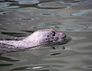Photo taken by Peter Morgan