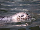 Photo taken by Peter Morgan
