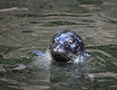 Photo taken by Peter Morgan