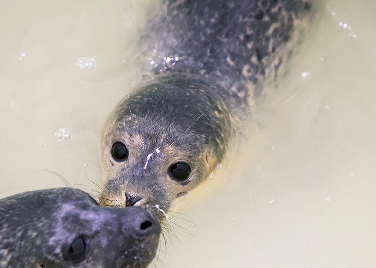 Vogue - photo taken on 4th August 2018