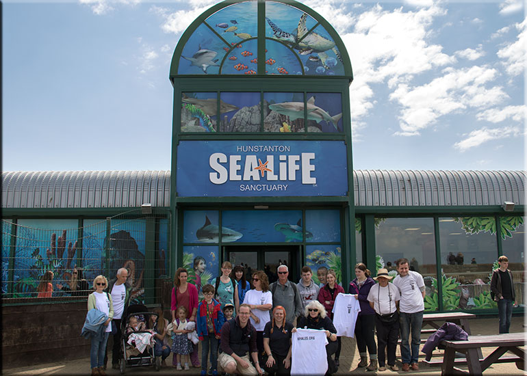 Walk for Whales - 26th June 2016