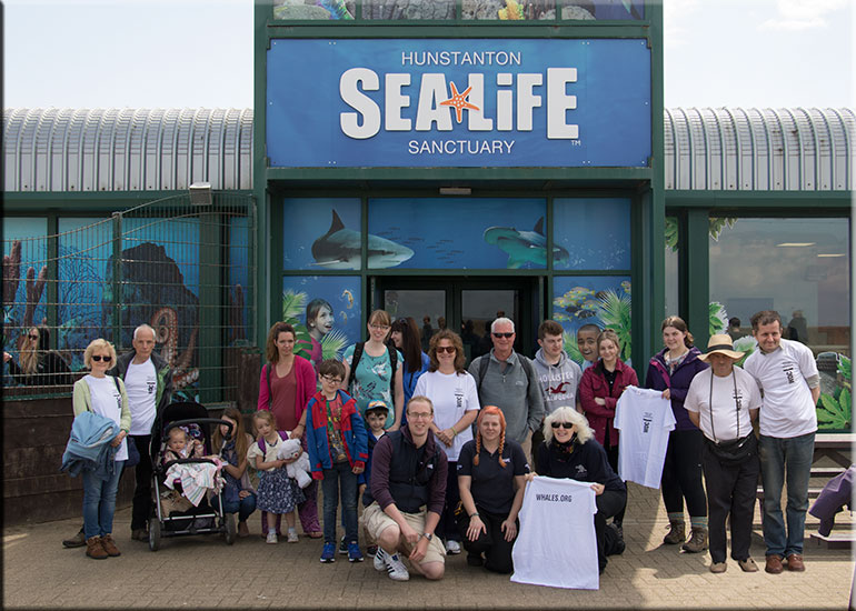 Walk for Whales - 26th June 2016
